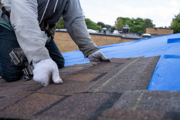 Best Roof Gutter Cleaning  in Glade Spring, VA